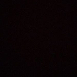 Meet your Posher, Leo